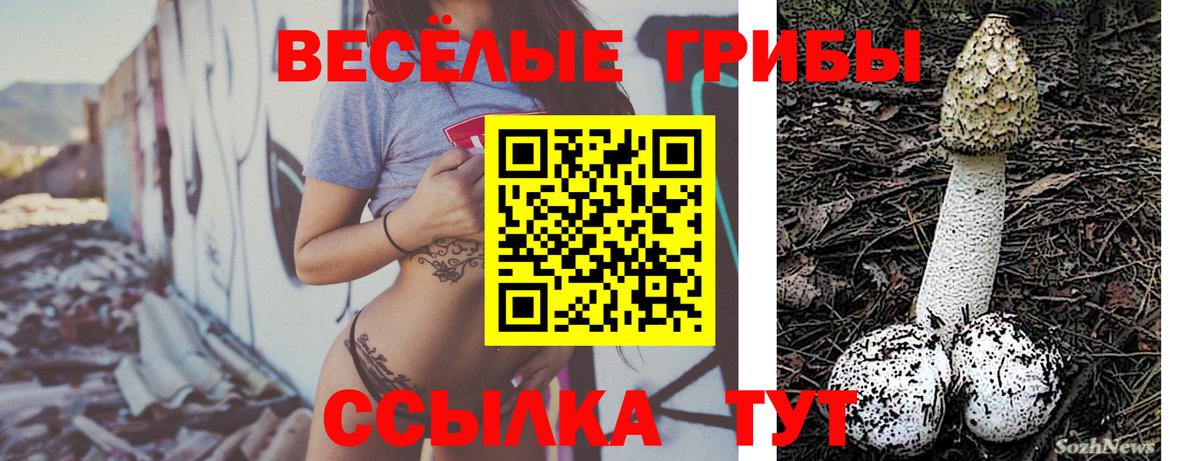 Псилоцибиновые грибы прущие грибы Жуковский