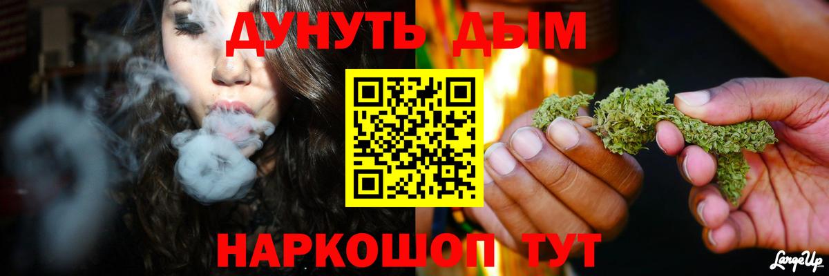 Каннабис сатива Жуковский